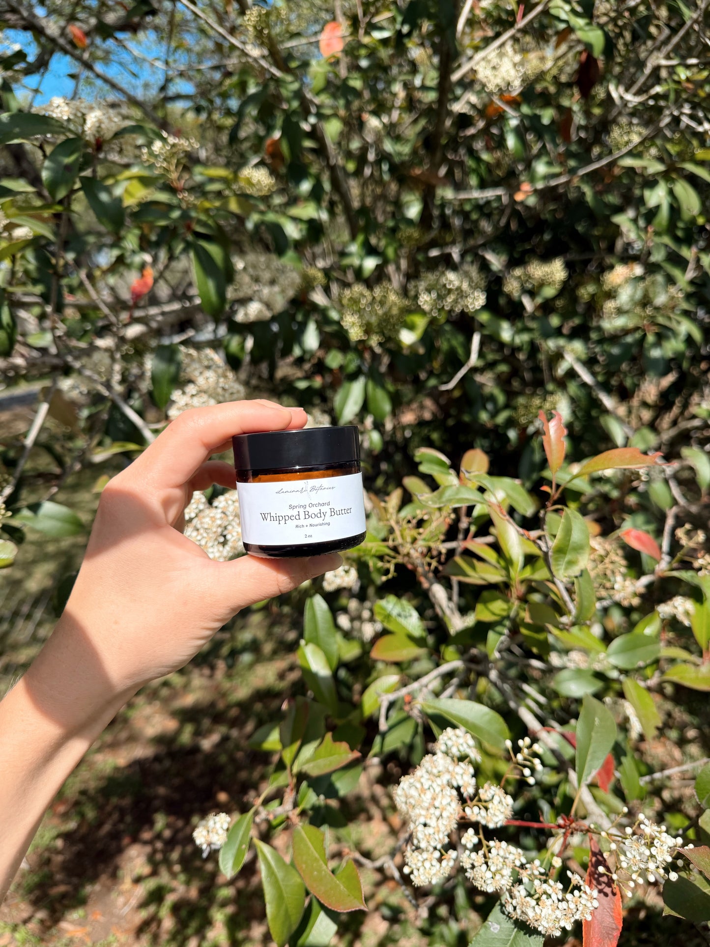 Whipped Body Butters