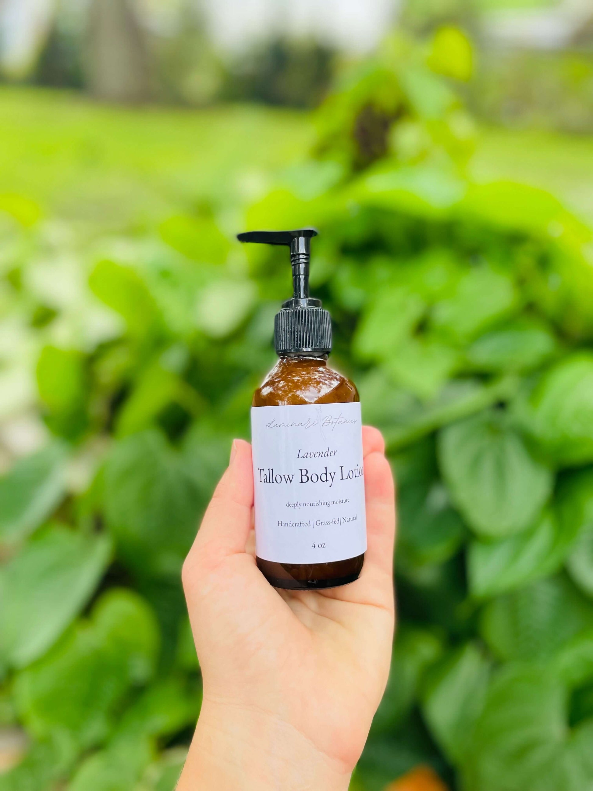 Jar of soothing Lavender tallow body  lotion for sensitive skin